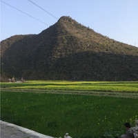 陈健阳