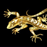 Golden Lizard