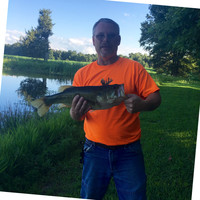 Greg Bays
