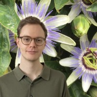 Ethan Krajewski