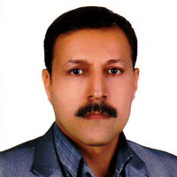 reza shokrollahi