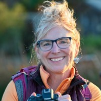 Donna Koch
