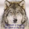 Sky Wolf