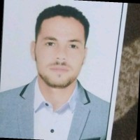 Walid Ahmed