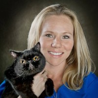 Jennifer Clement Kurus, Cvt