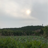张素初