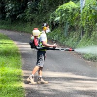 Greg Lo yat-Cadousteau