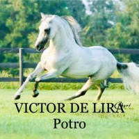 Victor El Potro