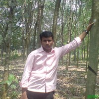 Ajmal 9895335925