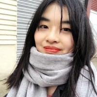 Lingyan Lu