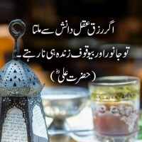 Ammad Tariq Tariq Niaz