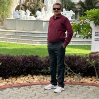 Narasimharao N V