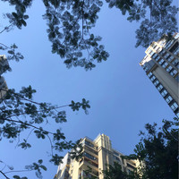 熊晓燕