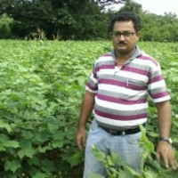Ashok Odissa