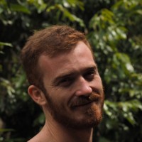 Vitor Ribeiro Franco