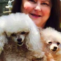 Kathy Realtor