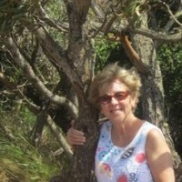 Debbie Nordstrom