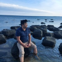 Amir Anees