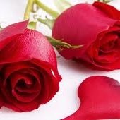 mohammad ashraf memon