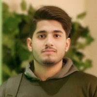 Ali Ahsan Samnani