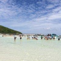 唐圳峰