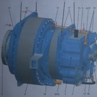 Edson Domingues de Oliveira