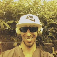 Nicholas Trascik