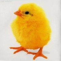 詹世林