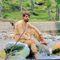 Muhammad Gul