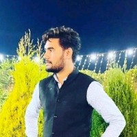 Ankit Pal
