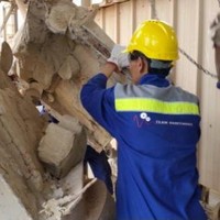 Team Maintenance