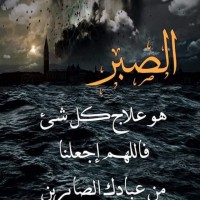 Abeer Hosni