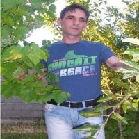 Isuf Bojaj