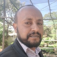 Henok Niguse