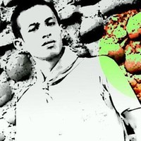 budy sukmadianto