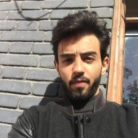 Ahmed Shawki
