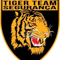 Tiger Team Segurança
