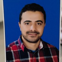 Mohamed Ibrahim