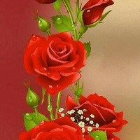 Fahim Khan
