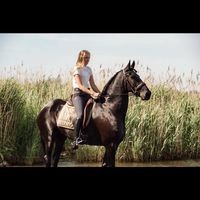 Kirsten Nolles
