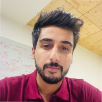 Karan Kaul