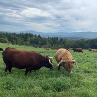 Jim Eisenhardt