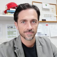 Domenico Saja