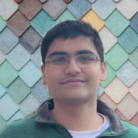 Amer Moosa