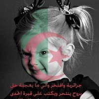 Chibani Mahmoud