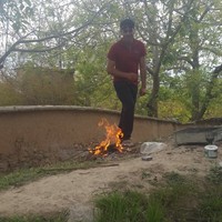 Saeid Zarei