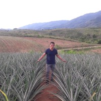 Gian Carlos Arteaga Ballarta