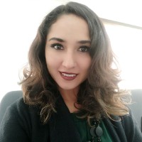 Karen Taire Carbajal Ruiz