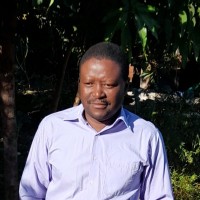 Donald Ndlovu