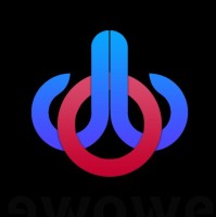 dewoweb company